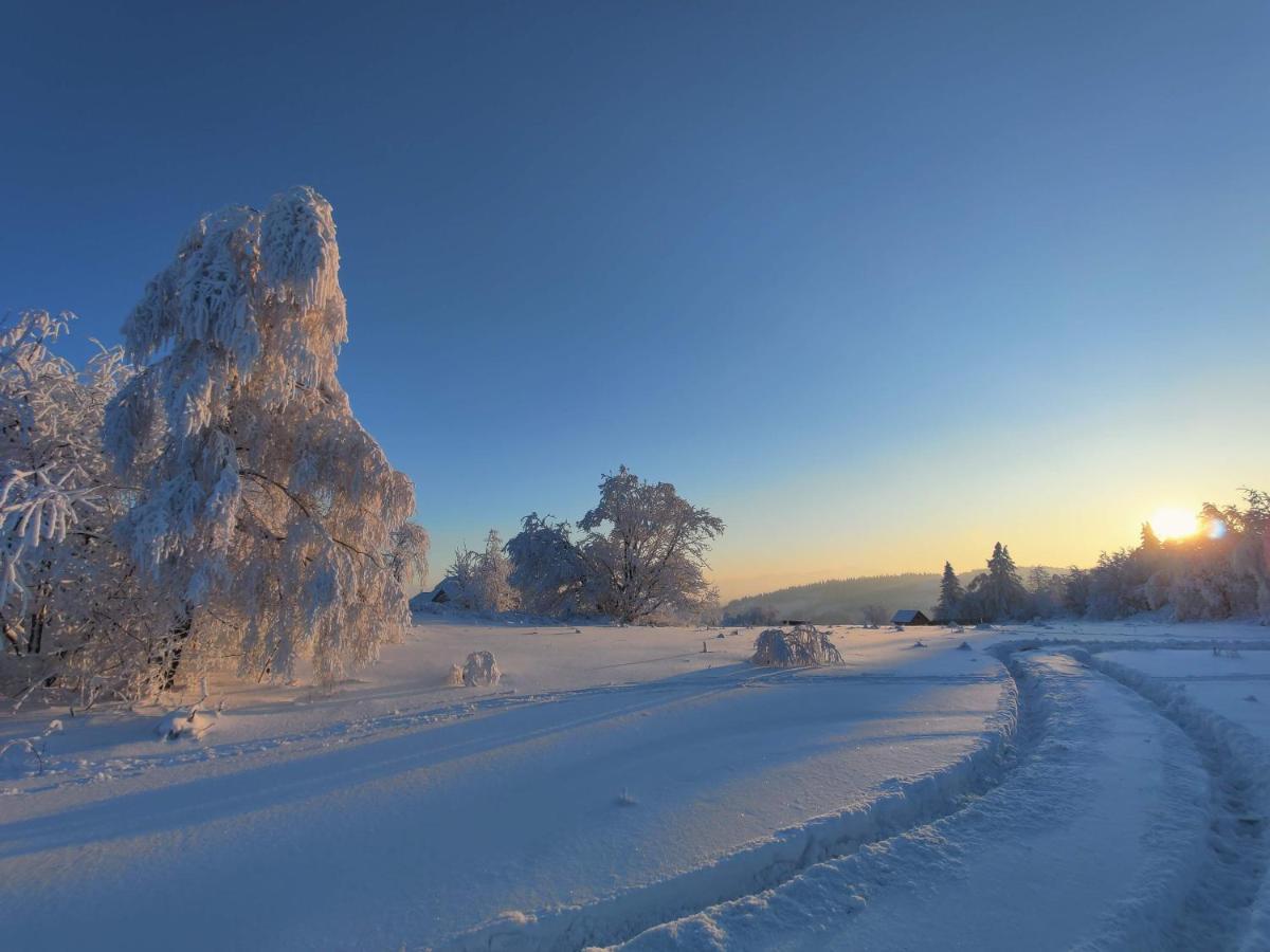 Wrzosowy Dwor - Spa Skomielna Czarna Экстерьер фото