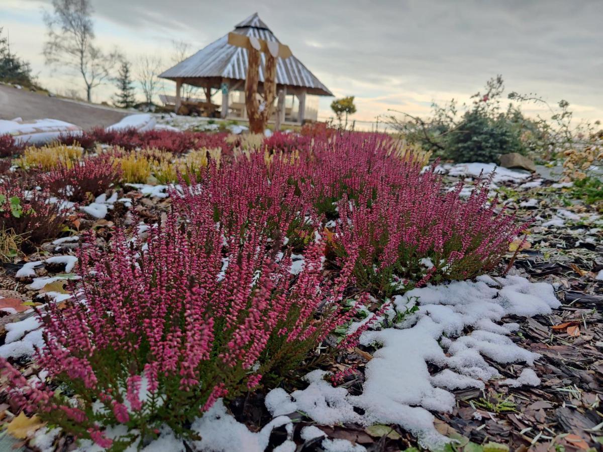 Wrzosowy Dwor - Spa Skomielna Czarna Экстерьер фото